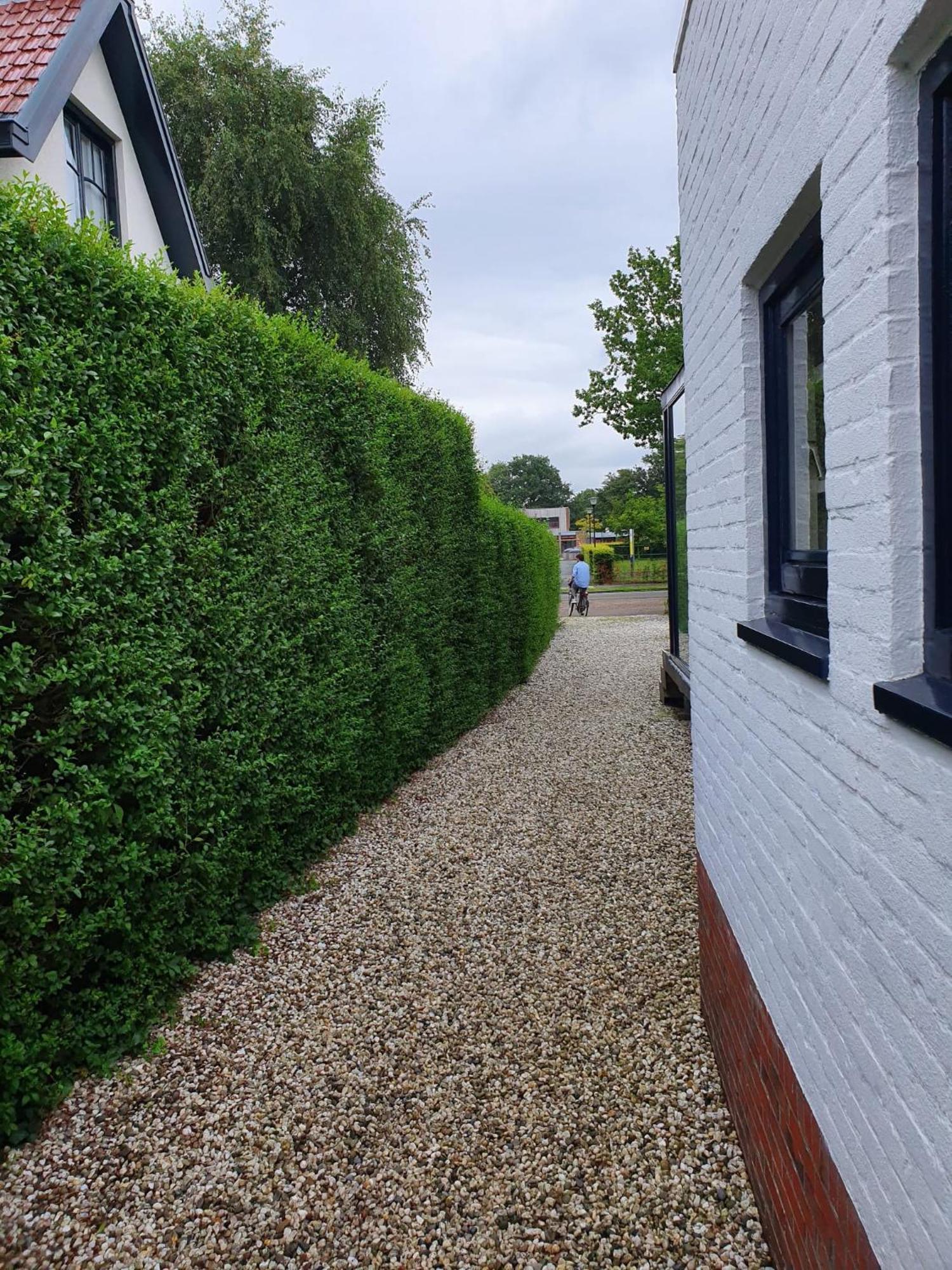 Zelfstandig Gastenverblijf In Het Groene Haren Nabij Groningen ภายนอก รูปภาพ